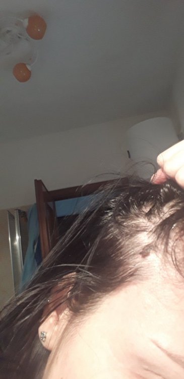 20210422_094923.thumb.jpg.872d3334bfd821843a81c18641532adb.jpg
