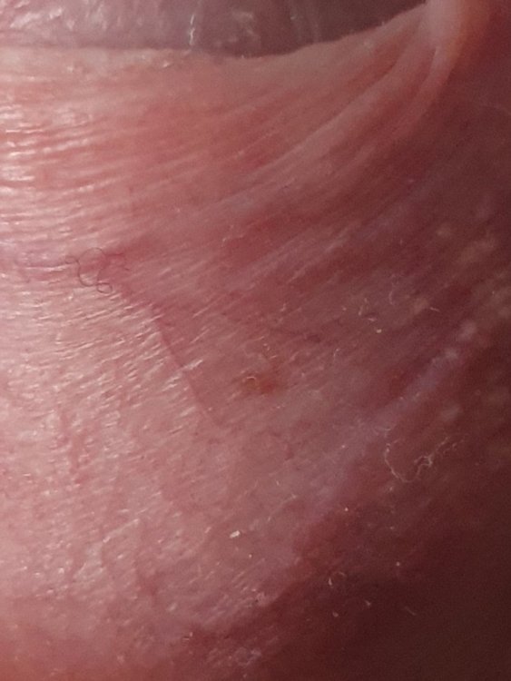 20210423_193531.jpg