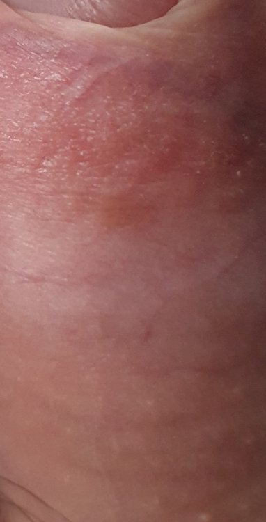 20210423_193551.jpg