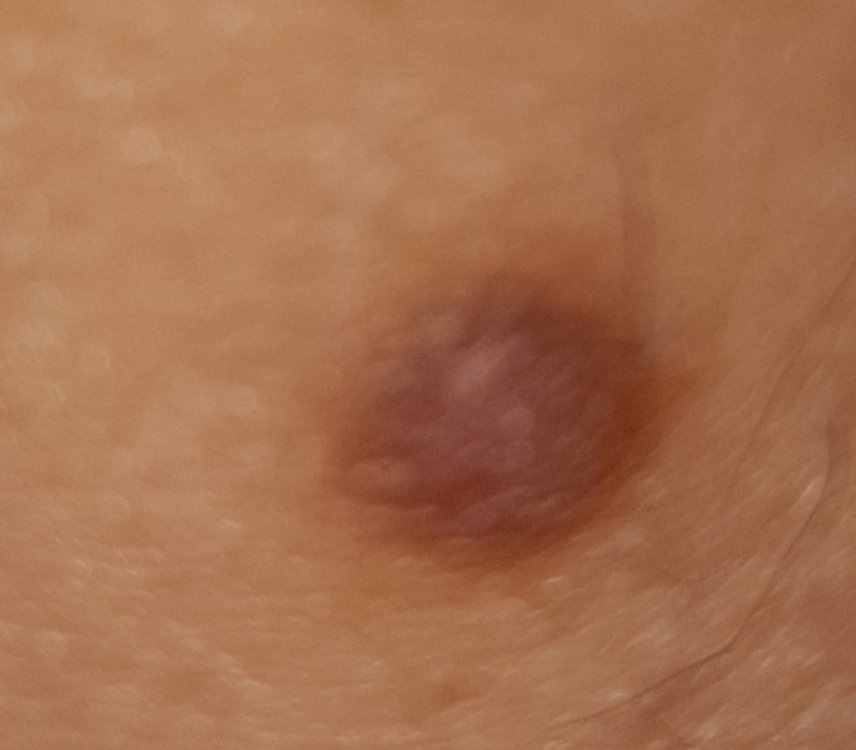 20210424_214834.jpg