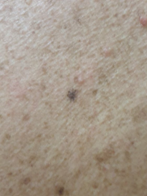 20210426_191313.jpg