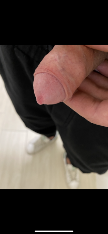 2D9F3F74-9C73-4D7E-AFF1-DFA51166FBDA.thumb.png.87d610bba8285b2779fbadee7a96f2fc.png