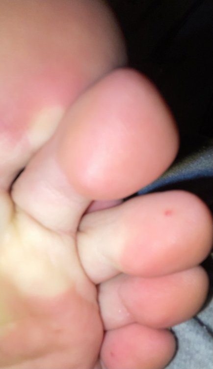 FC6671D1-2BD8-4297-AC53-2AE238F8FDF4.thumb.jpeg.48f26ebf09650161718d5c335de6c463.jpeg