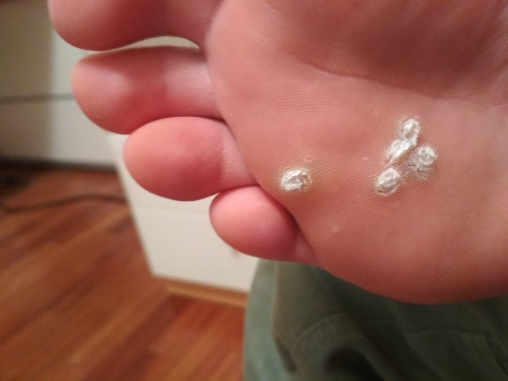 IMG_20210428_222245.jpg