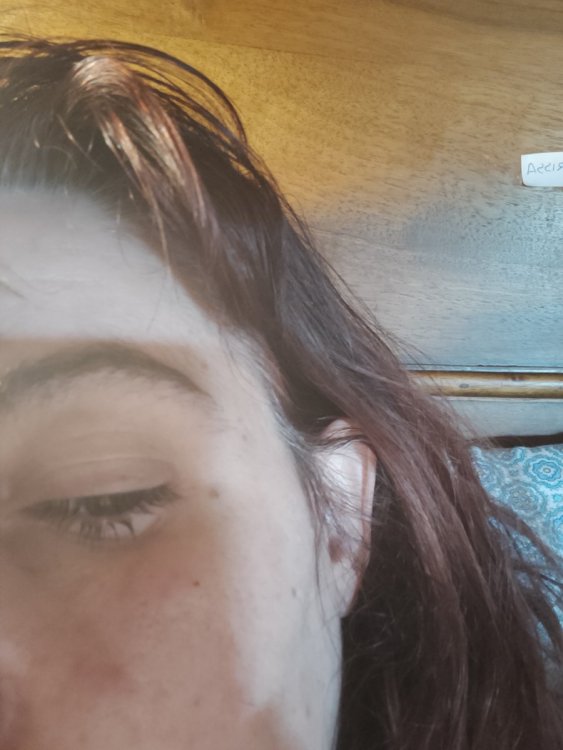 16214158980061821500043509873101.thumb.jpg.6d32f53c2d191e0240fccb5728d8238c.jpg