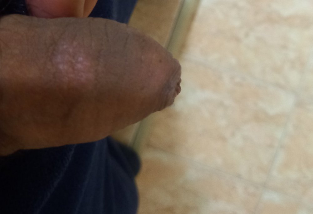 20210506_101026.thumb.jpg.0459287dfcf61898ac4590767abb8a10.jpg