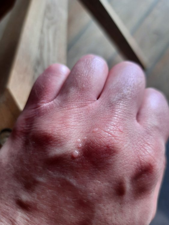 20210514_105105.thumb.jpg.f41526f8fa23eb014b601f29a832b85f.jpg
