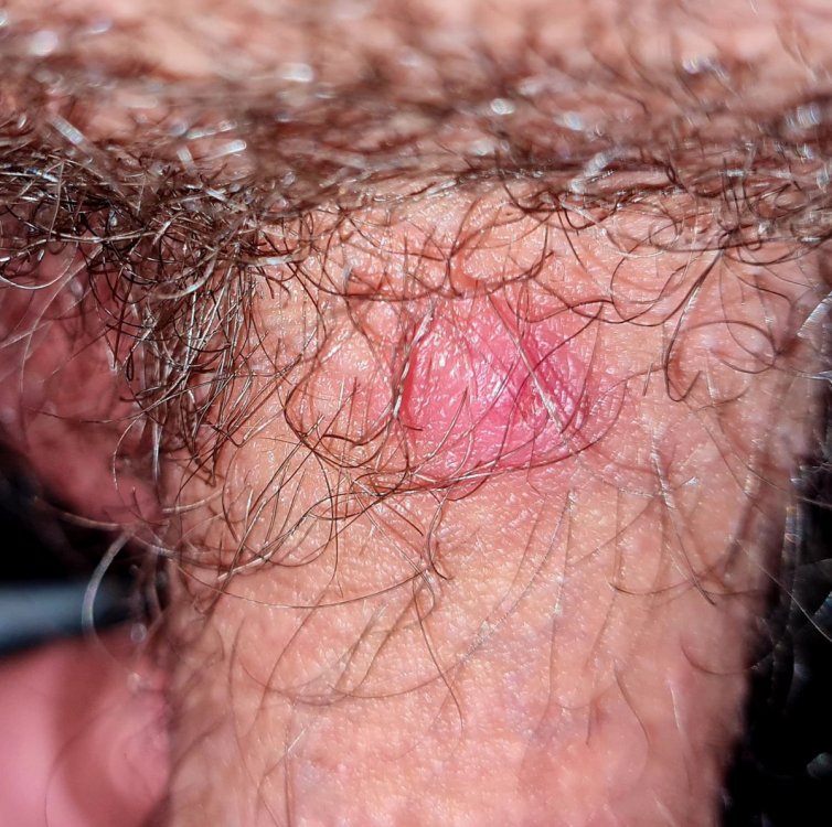 20210524_153647.thumb.jpg.79caabc345ccd78a785167187a5ab870.jpg