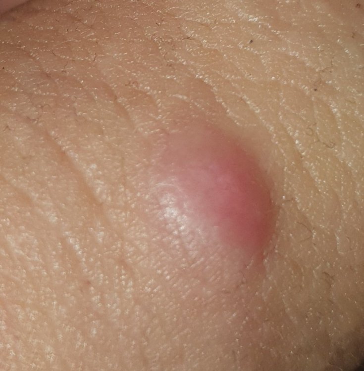 20210526_205002.jpg
