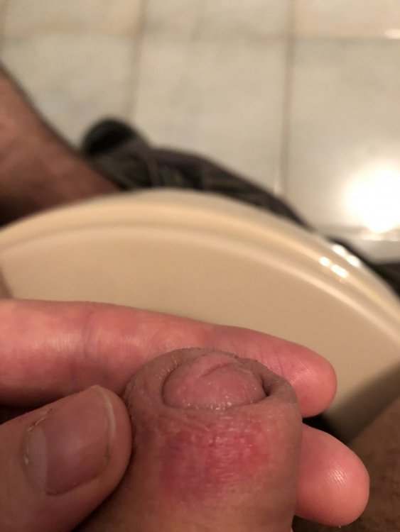 2CB2BD15-2F30-4038-B1F6-BBC25F1B5E7A.thumb.jpeg.b6e9ce9e279cfdf9dedf7bbcf79cb2c4.jpeg