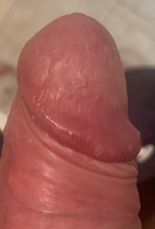 4BD6208A-63CA-43B8-BE30-ACEAEE9ACF83.thumb.jpeg.f8017c7512afd969b74555f38130dfc9.jpeg