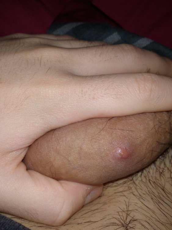 IMG_20210502_031705.thumb.jpg.d35bd6b350eac18fab6d14a66abf8fc1.jpg