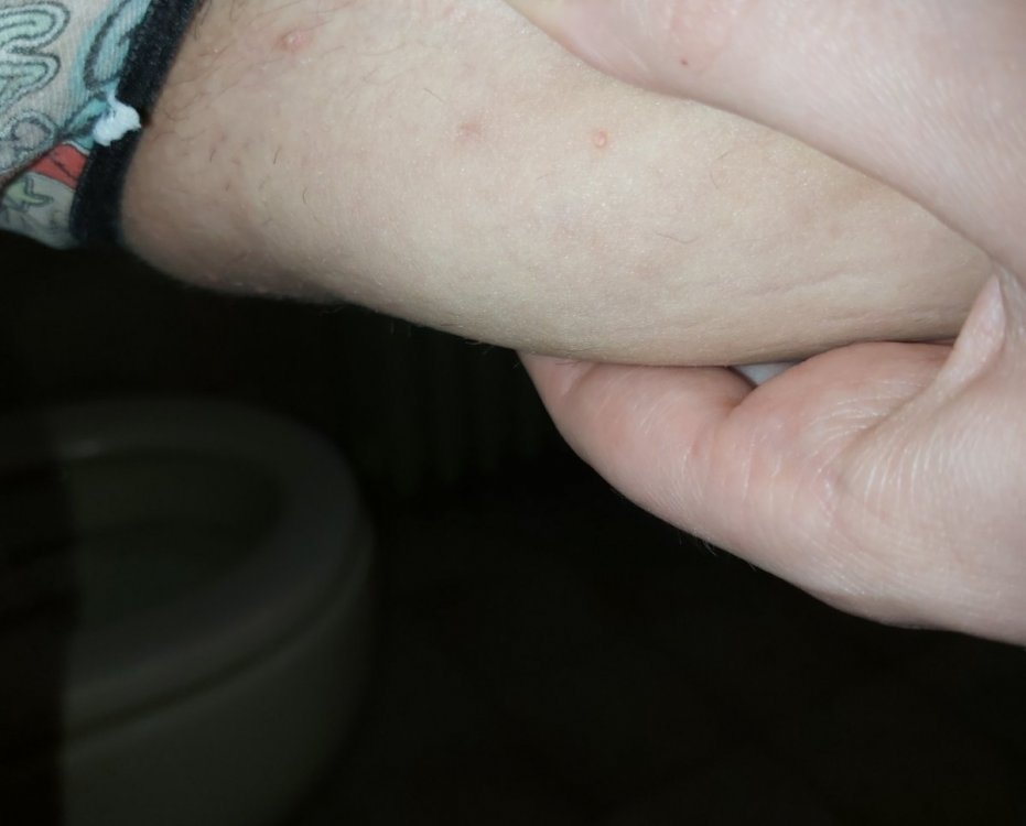 IMG_20210510_212441.thumb.jpg.c63ce6a27494b66426c18b78e803be88.jpg