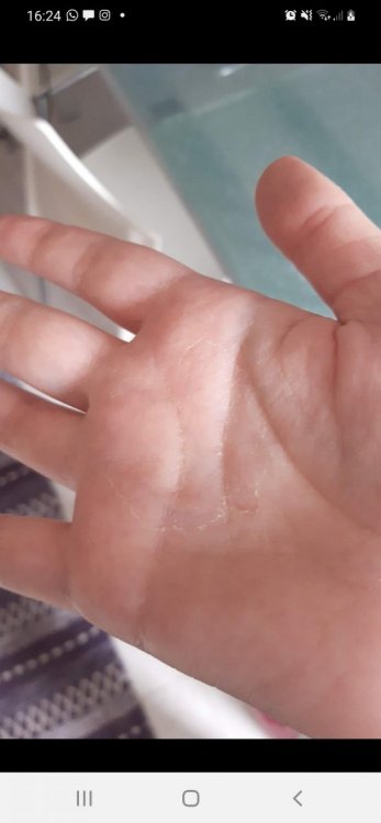 Screenshot_20210527-162430_Facebook.jpg