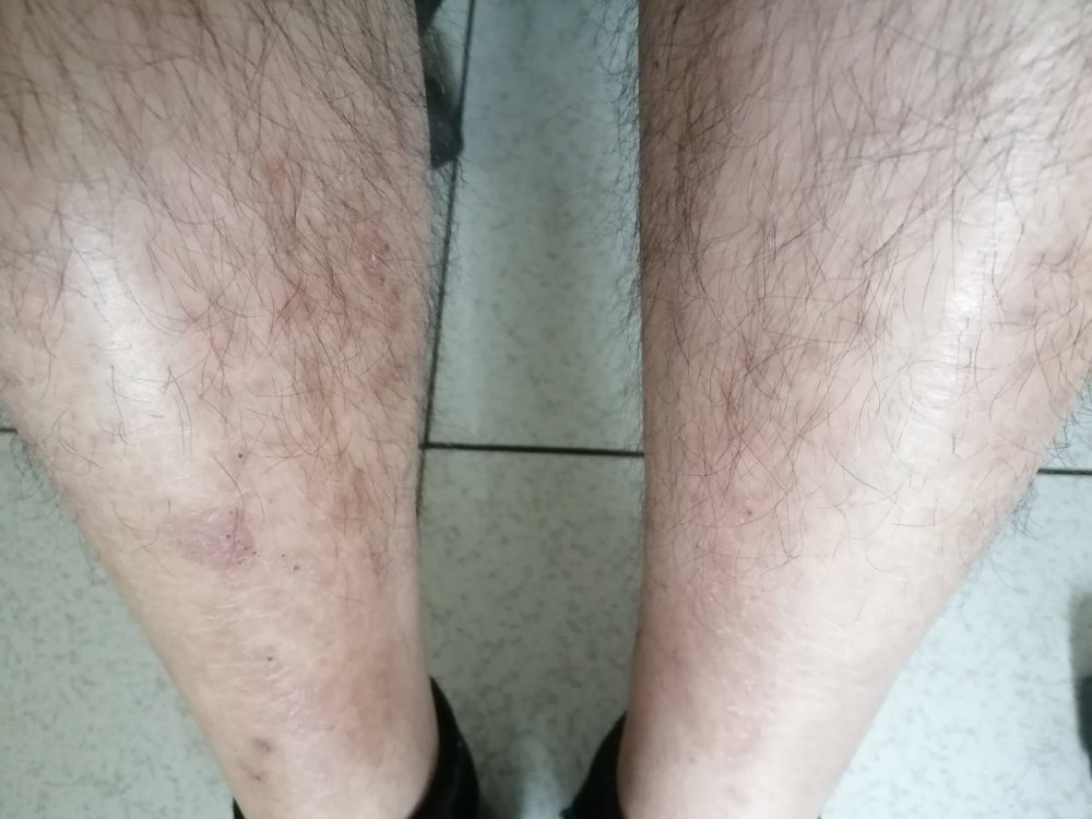 foto.jpg