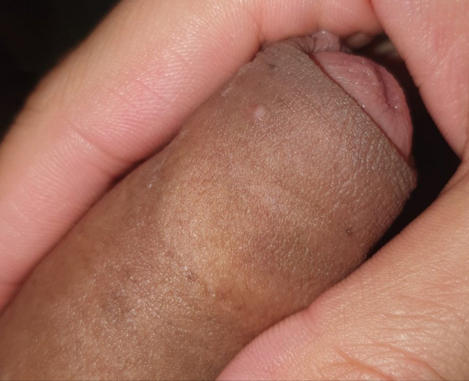 20210604_154911.thumb.jpg.f32ce35913934518b238cddcb4dbf1f1.jpg