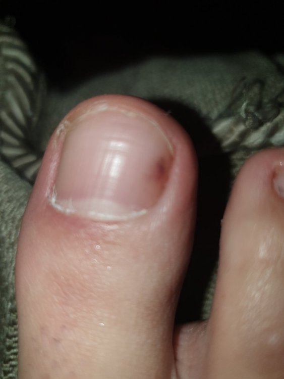 20210616_140102.jpg