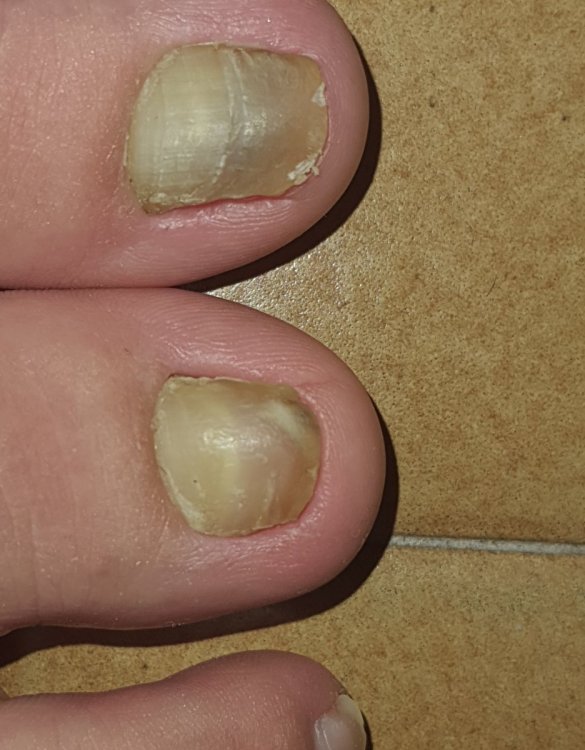 20210622_161852.thumb.jpg.70b5e527bbc15dbaef2074b84b2a019b.jpg
