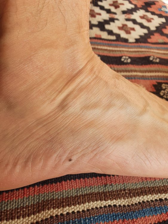 20210622_190301.jpg