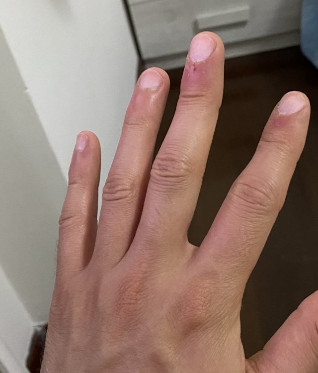 9F035FFB-60FA-458B-98CE-EECC7DFEC564.thumb.jpeg.6dc5d8844f1b634ab0380e7d082ba69b.jpeg