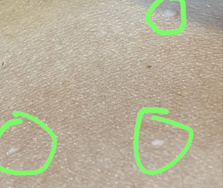 C78F202E-9704-4D42-88C9-97D8ECE8661B.thumb.jpeg.0e543f3eb9125fce0ca574cacf846273.jpeg