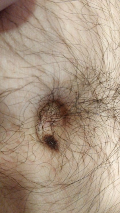 IMG-20210610-WA0008.thumb.jpeg.908995b079b546992af38bb246dbe141.jpeg