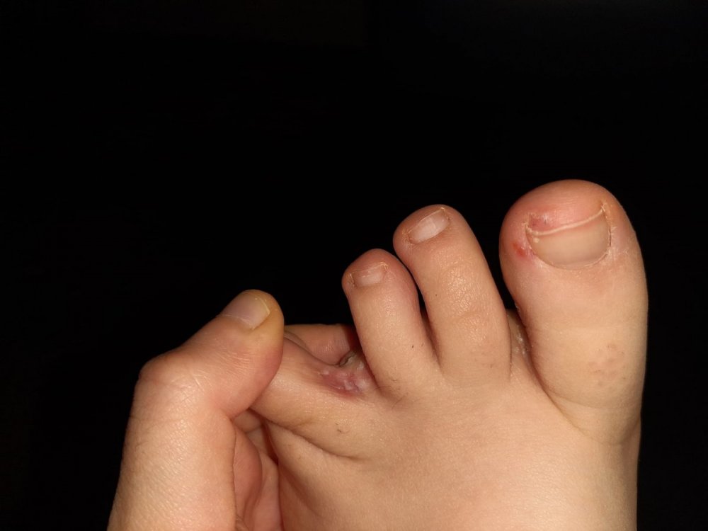 IMG-20210625-WA0036.jpg
