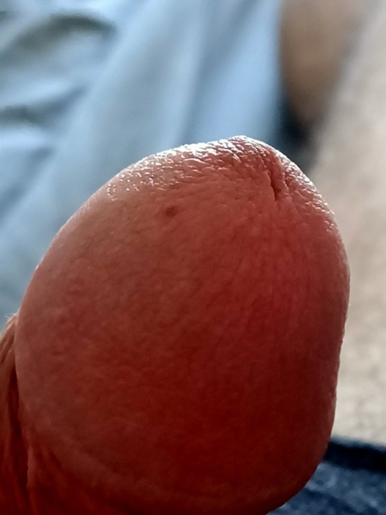 IMG20210606115218.jpg