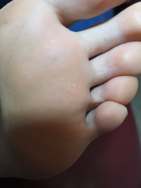 IMG_20210622_194000.jpg