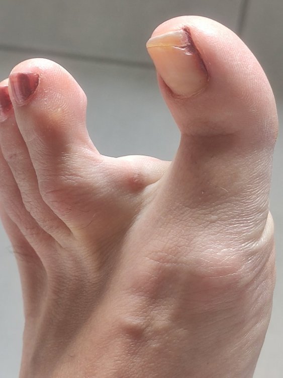 IMG_20210630_100812.jpg
