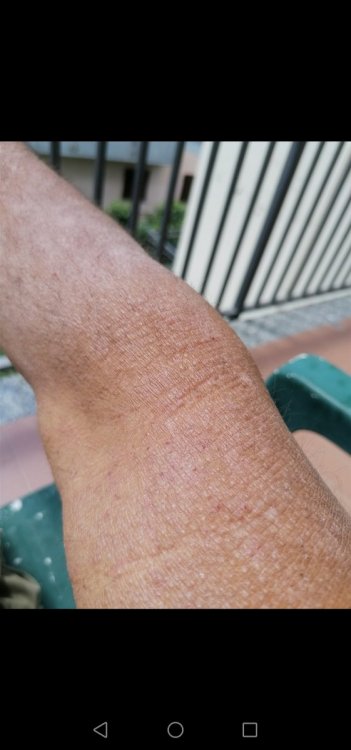Screenshot_20210624_132402_com.android.gallery3d.jpg