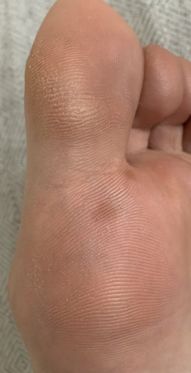 06C7E08C-0877-4938-8F43-35802D461363.thumb.jpeg.07af6fa3e55b0e78bc3cc33d2386ed5a.jpeg
