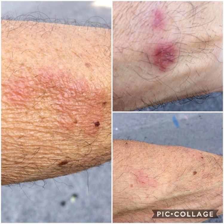 Collage 2021-07-03 10_46_18.jpg