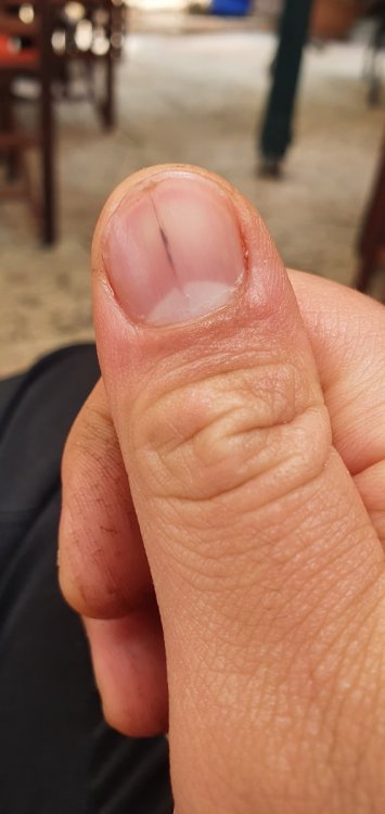 16264290226082867605495410814602.thumb.jpg.08b9df5f0ffa36f51c52417315416bc9.jpg