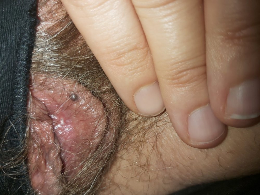 16271512759912119379974304041377.thumb.jpg.fd418fda2255f794a0f8c16ab09086ba.jpg