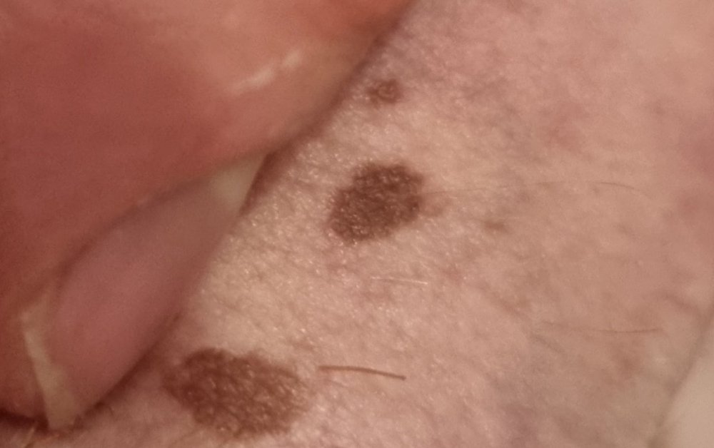 20210614_231326.jpg
