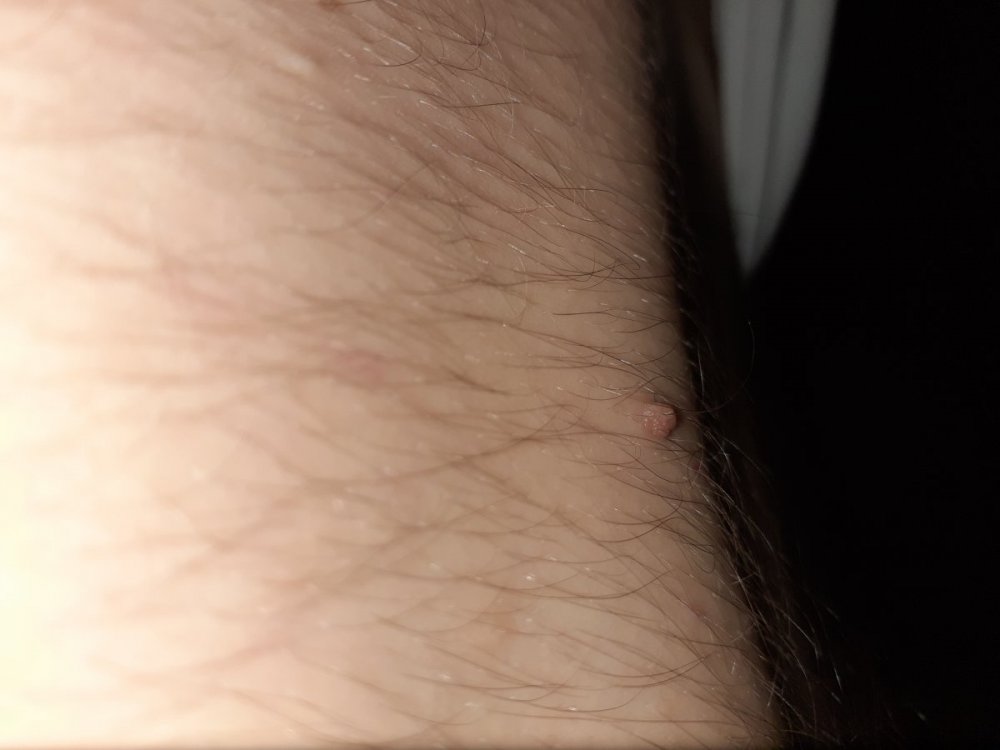 20210701_222140.thumb.jpg.94b01537c9cb12d6a6214584246f8f60.jpg