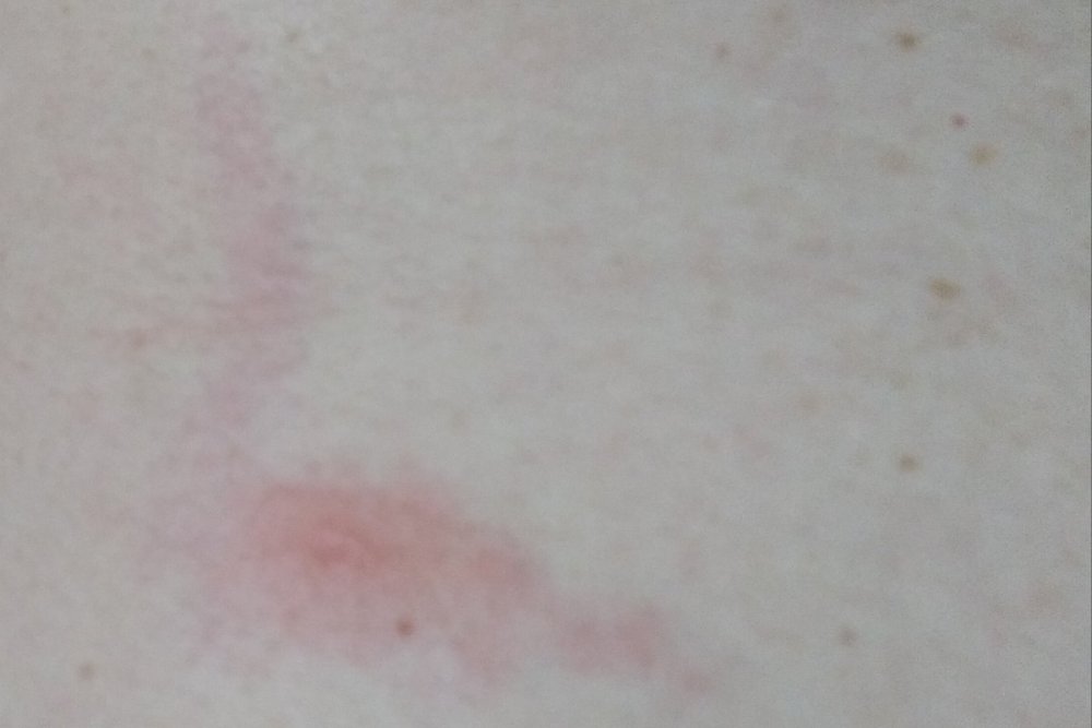20210713_100322.jpg