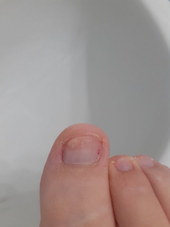 20210714_212454.thumb.jpg.b939f07e0facd61698e9c21a72650b0f.jpg