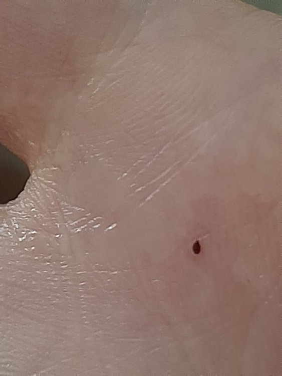 20210720_123427.jpg