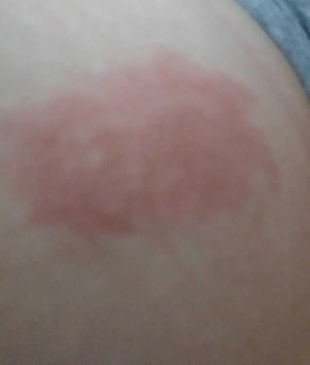 20210722_195625.jpg