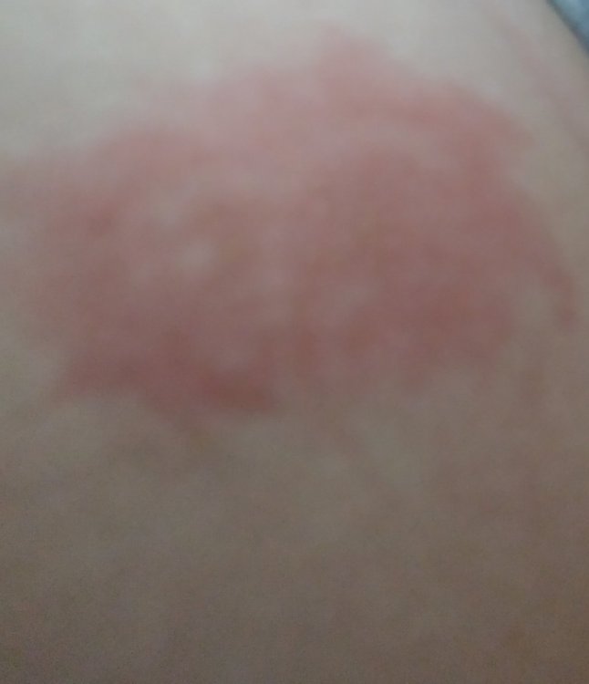 20210722_195639.jpg