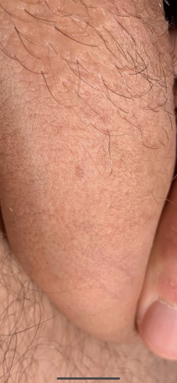 CB17C0AE-59A2-4418-B598-44B443C5134A.thumb.png.76cdb23a3f064a1a2b2235c68786ef59.png