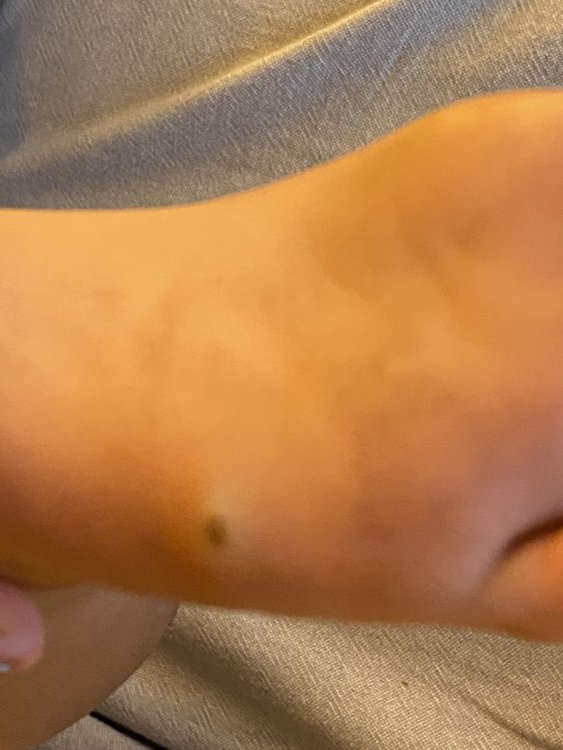 CEBBFEBB-7C9C-4008-A977-2962763522EC.thumb.jpeg.a3a942193ea6b3e47927fa86f9026063.jpeg