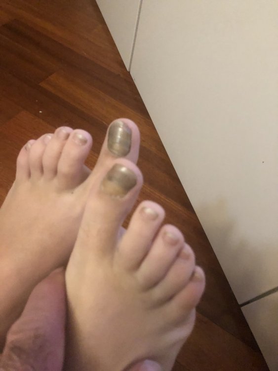D7434466-F959-400E-93D4-F28B491A8D1B.thumb.jpeg.e130e206d2b68c19597bce199b0366a8.jpeg