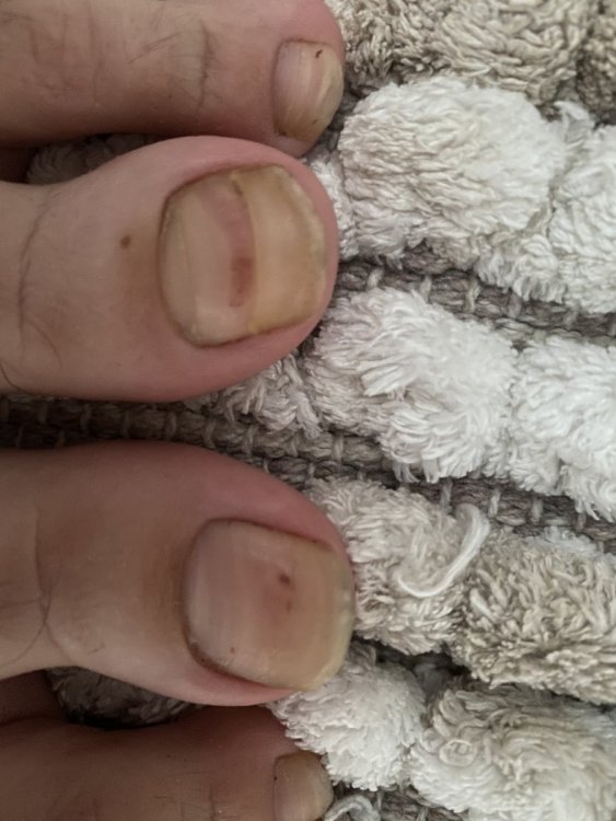 FD403FBE-7A3E-4BC7-AD2F-FC4A13D80609.thumb.jpeg.552ffe775f2de73c216ad936cf6daa0f.jpeg