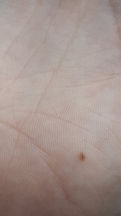 IMG-20210708-WA0135.thumb.jpeg.b2032497e992248cd2dc8ab216180494.jpeg