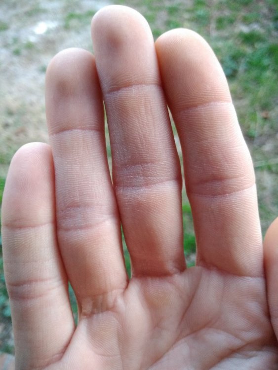 Mani.thumb.jpg.fb3abafe210bd6db96fafef50b589ba7.jpg