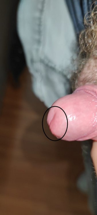 foto1.thumb.jpeg.e6db593036f8127950a05325f3aec84b.jpeg