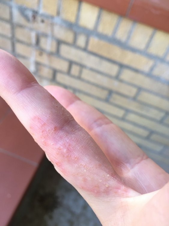 image.jpg